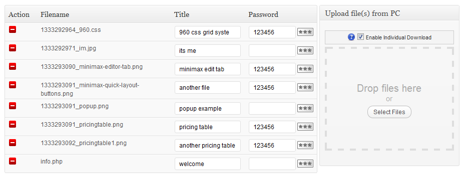WordPress Download Manager - Individual file title and password