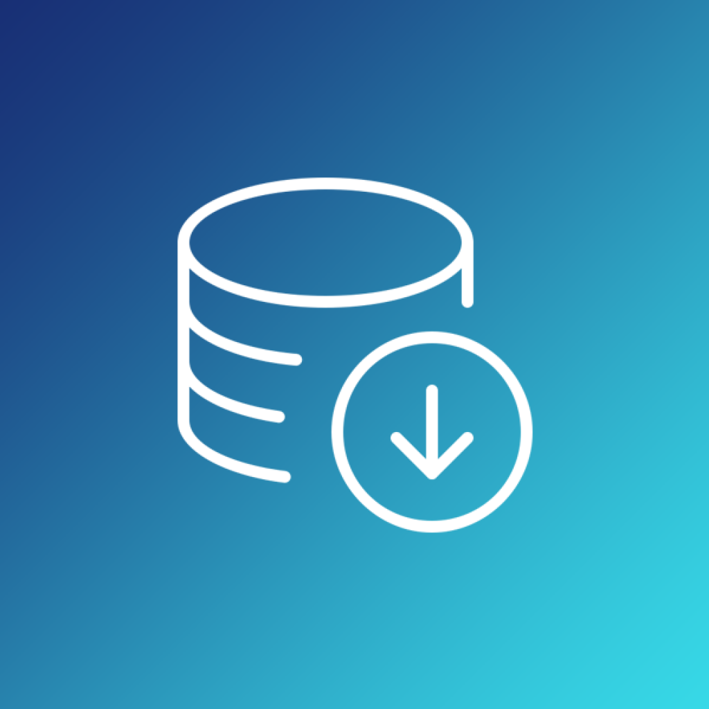 light weight download manager